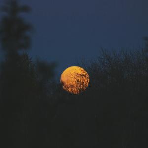 亚洲色欲色欲社www色屁屁
