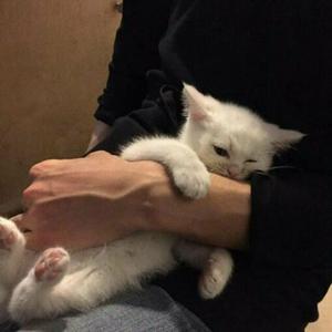 亚洲色欲色欲社www色屁屁
